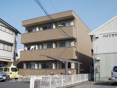 10275画像