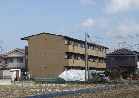 10795画像