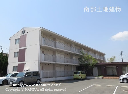 11066画像