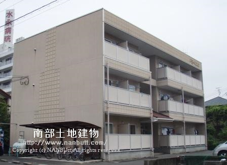 14339画像