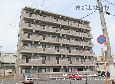 15269画像