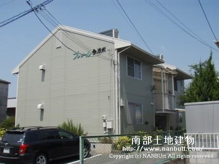 15365画像