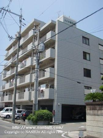 15578画像