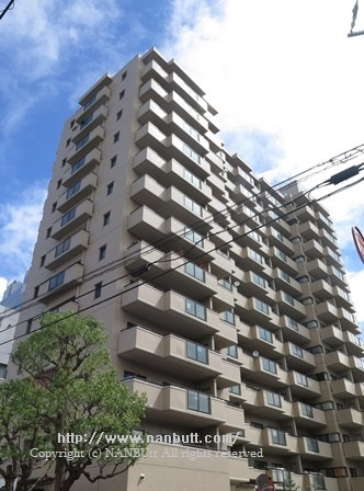 20809画像