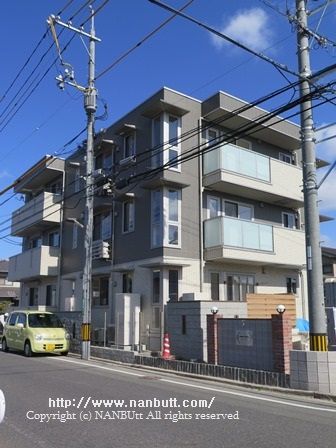 20918画像