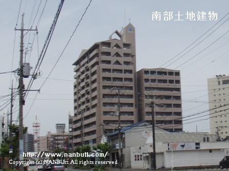 23311画像