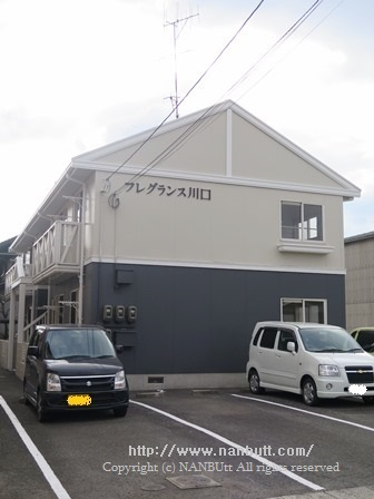 24115画像