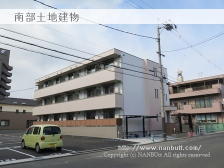 24498画像