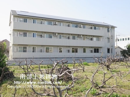 24761画像