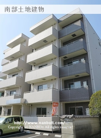 24813画像