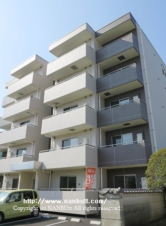 24824画像