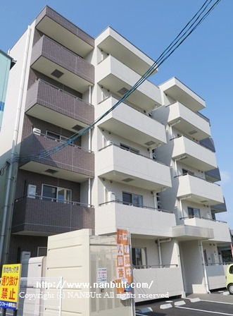 24827画像