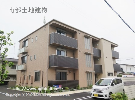 25303画像