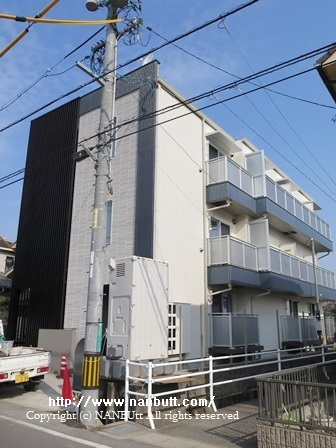 26234画像