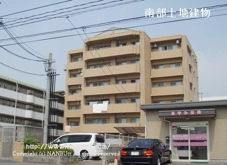 27335画像