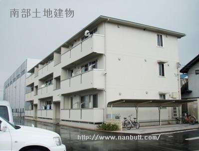 27461画像