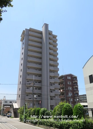 29162画像