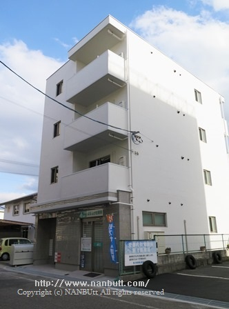 29221画像