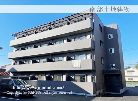 29523画像
