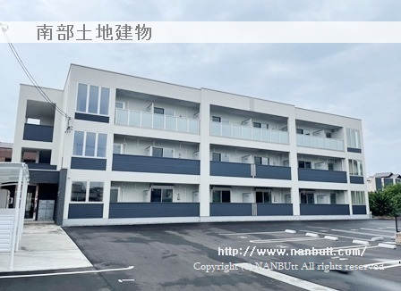 29923画像