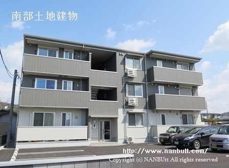 30448画像