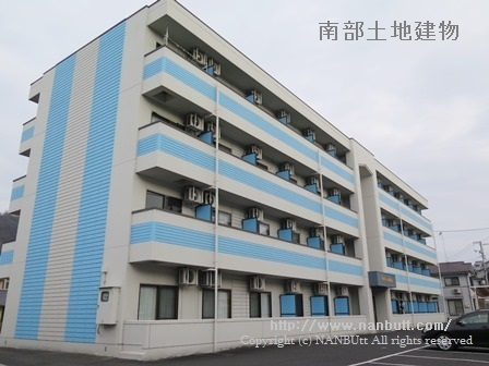 30801画像