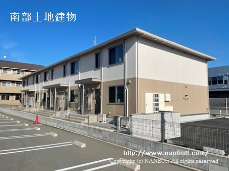 30831画像
