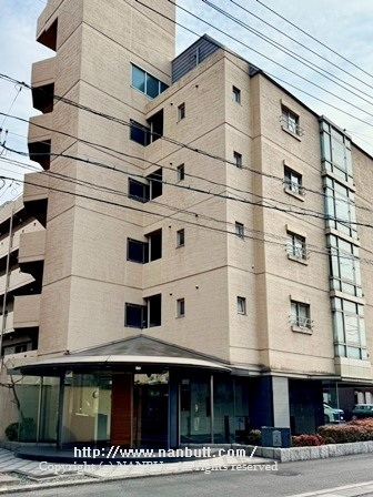 30929画像