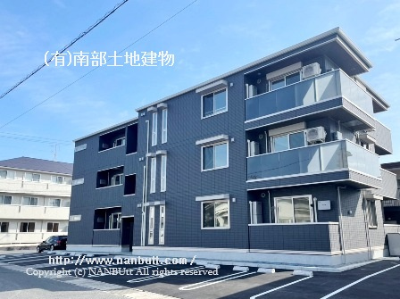 31004画像