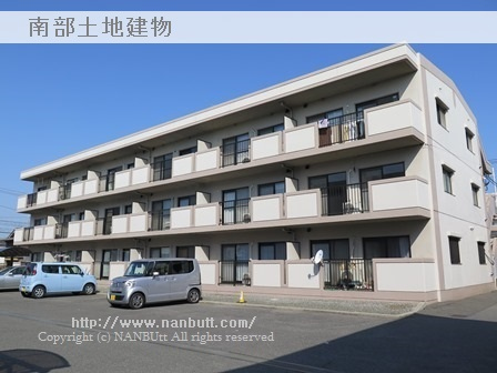 31416画像
