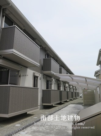 31525画像