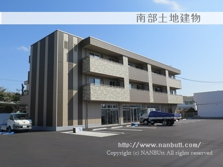 31544画像