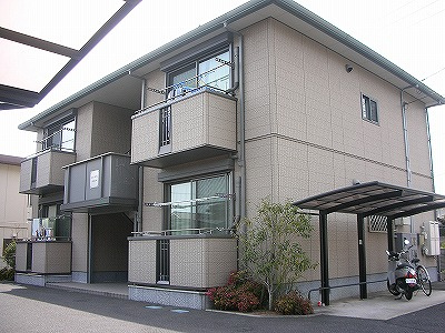 31545画像