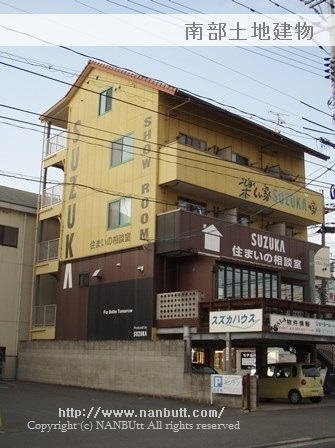 31546画像