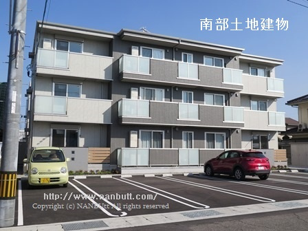 31576画像