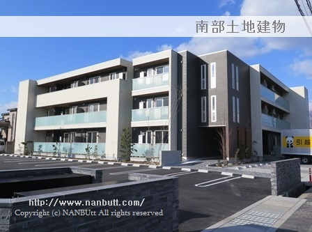 31591画像