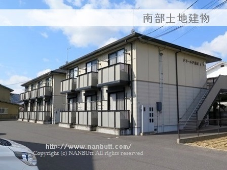 31594画像