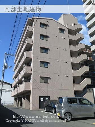 31615画像