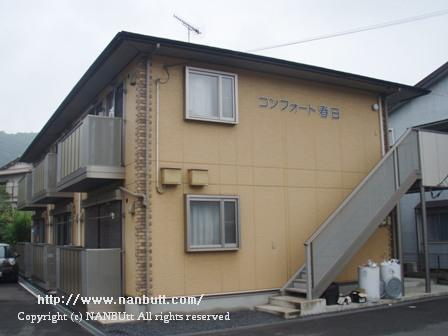 31626画像