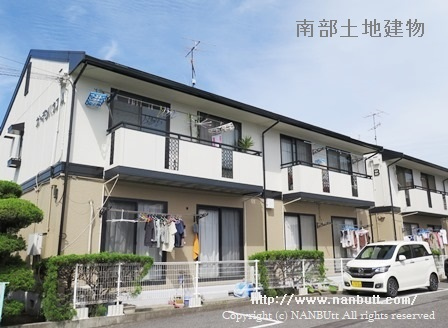 31703画像