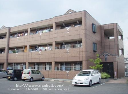 32036画像