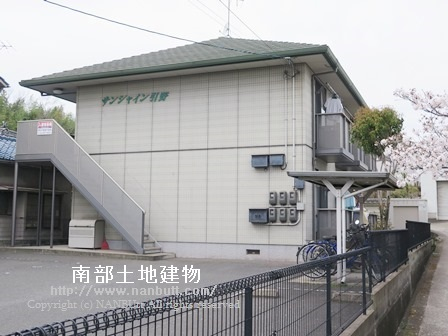 4181画像