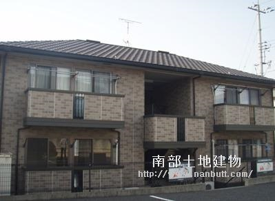4219画像
