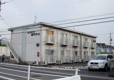 写真あり