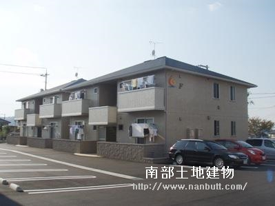 7294画像
