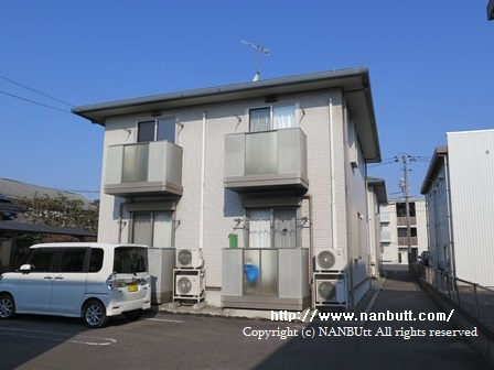 8800画像