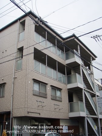 9154画像