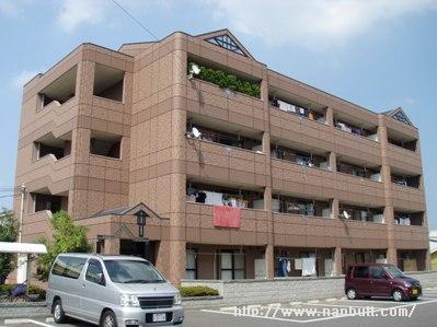 9267画像